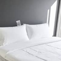 Luxe High Firm Duck Down Pillow 50 X 90 cm