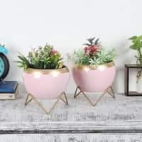 Apple Shape Metal Planter Set Of 2 In Pink And Gold Colour