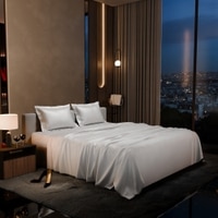 Stoa Paris 300 TC Satin Bedsheet Double Bed with Pillow Covers in Vanilla White