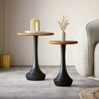 Calla Solid Wood Side Tables Set of 2 in Dual Tone Amber Walnut and Black Finish