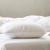 Comfort Medium Firm Duck Feather Pillow 50 X 70 cm
