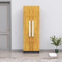 Hexa Red Wooden 2 Door Wardrobe with 4 Shelves in Slate Grey and Giant Wood Colour