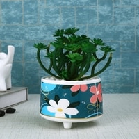 Attractive Succulent Plant With Flowers Print Ceramic Pot