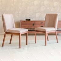 Coco Dining Chair Set Of 2