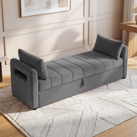 Jedlo Velvet 2 Seater Ottoman Bench with Storage  in Dark Grey  Color