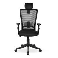 Werner Study Chair in Black Colour