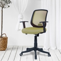 Xxeana Low Back Ergonomic Chair in Pearl Green Colour