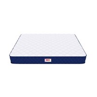 Back Master with NFF Tech Mattress (78 x 42 in, 8 Inches)