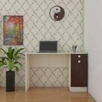 Celestia Study Desk with Shuttered Cabinet and Drawer in Coffee Walnut Colour