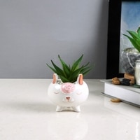 Adorable Piglet Planter With Green Aloe
