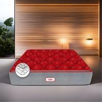 Coirfit Luxurino Pillow Top Mattress