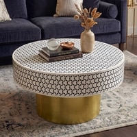 Aina Inlay Coffee Table In Matt Gold Finish