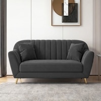 Rivo Velvet 2 Seater Sofa in Dark Grey Color