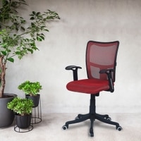 Eexcaeal Mid Back Ergonomic Chair in Red Colour