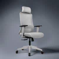 Eterna High Back Mesh Office Chair with Headrest in Grey Colour