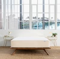 Springtek Organic Waterproof Mattress Protector Elastic Strap 78x48 in