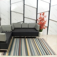 StripAA Carpet Size 7.7x5.3 ft.