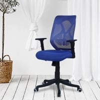 Zeeazyana Mid Back Ergonomic Chair in Blue Colour