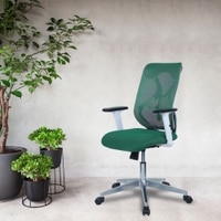 Wiwngas Mid Back Ergonomic Chair in Dark Green Colour
