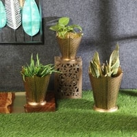 Flower Pot Planter Set Of 3 In Gold Colour