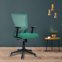 Ebeaony Mid Back Ergonomic Chair in Dark Green Colour