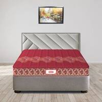 Day Dream with 36 YEARS OF TRUST 5 Inch Single Size Coir Foam Mattress(72X42 Inches), Double-Sided PU Foam Quilt  Durable & Lightweight