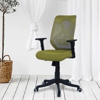 Zeeazyana Mid Back Ergonomic Chair in Pearl Green Colour
