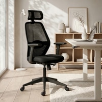 Wave Ergonomic Office Chair in Black Colour
