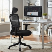 Kepler Brooks Zenith HB Office Desk Chair in Black Colour