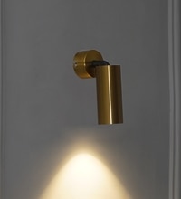 Ortega 12-Watt Outdoor Adjustable Wall Light In Brass Finish