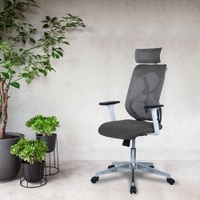 Wiweangs High Back Ergonomic Chair in Grey Colour