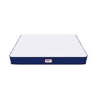 Back Master with NFF Tech Mattress (84 x 72 in, 8 Inches)