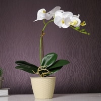Beige 1 Pieces Orchid Artificial Plant With Pot