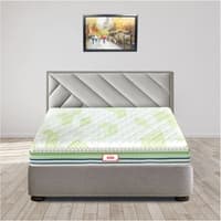 Alovera Spa Pillow Top With SRTX Technology 8 Inch Single Size Convoluted Foam Mattress (72X35 Inches), 3-Zone Support, Aloe Vera Treated Fabric, with Memory Foam