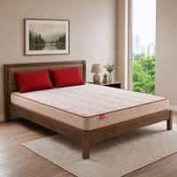 Kurlon Ortho Plus Latex Medium Firm King Orthopedic Mattress 72x72x8 Inch