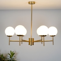 Compernico 6-Lights Brass Finish With Opal Glass Shades Chandelier Light