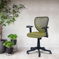 Odrione Low Back Ergonomic Chair in Pearl Green Colour