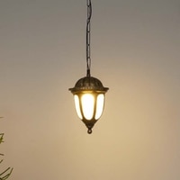 Garrett Gold And Black Outdoor Hanging Light