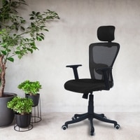Dreaceo High Back Ergonomic Chair in Black Colour