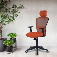 Dreaceo High Back Ergonomic Chair in Orange Colour