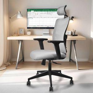 Ignis Grey Ergonomic Study Chair