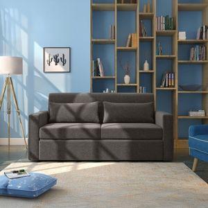 Camden 3 Seater Pull Out Sofa cum Bed In Smoke Grey Colour