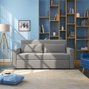 Camden 3 Seater Pull Out Sofa cum Bed In Vapour Grey Colour