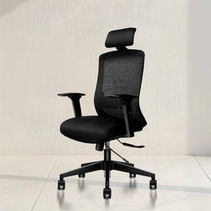 Eterna Ergonomic Study Chair