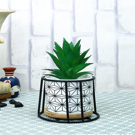 Highly Attractive Succulent Plant With A Geometric Patterned Ceramic Pot In A Stand