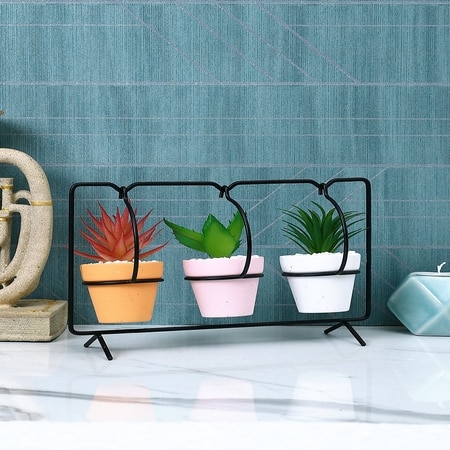 Minimalist Hanging Trio Succulent Planter