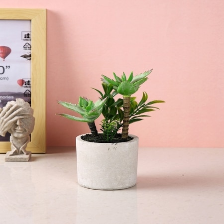 Artificial Succulent Indoor Plant With Ceramic Pot