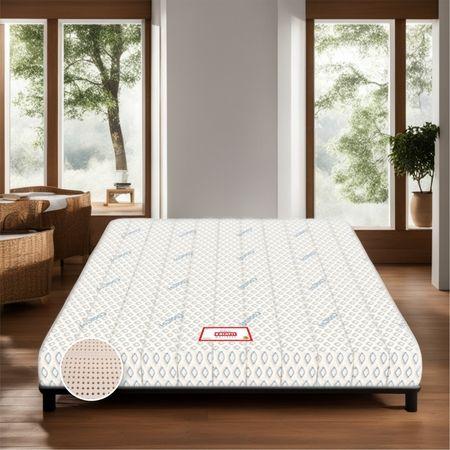 BIOLIFE 7-Zone LATEX with Talalay Tech Single Size Mattress (72 x 35 in, 4 Inches)