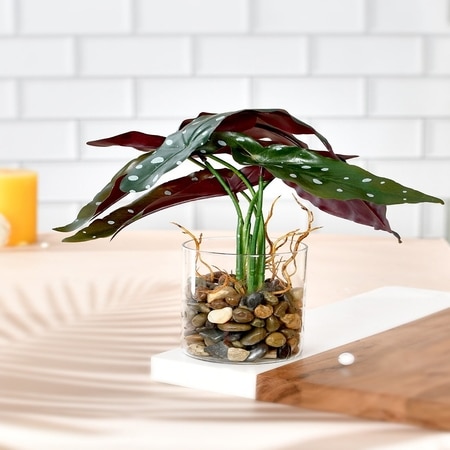 Transparent Glass Planter With Artificial Spotted Begonia Plant