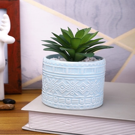 Highly Attractive Aloe Vera Plant With A Designer Ceramic Pot